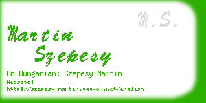 martin szepesy business card